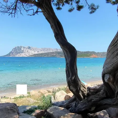 Cala Ginepro